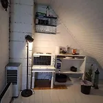 בית חווה Farmloft With Aurora And Sauna *