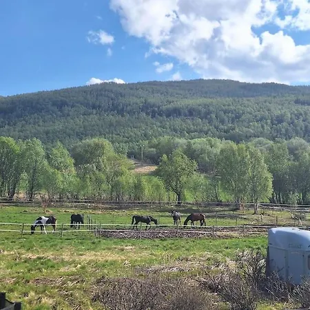 Çiftlik konaklama Farmloft With Aurora And Sauna Narvik