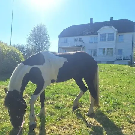 Farmloft With Aurora And Sauna Narvik