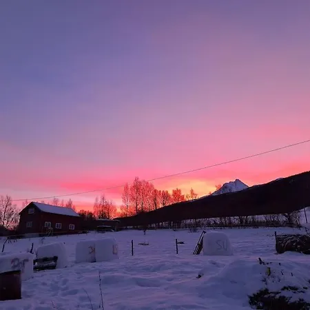 Farmloft With Aurora And Sauna Séjour à la ferme