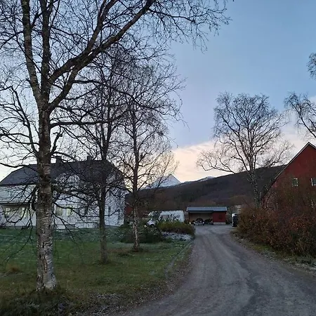 Farmloft With Aurora And Sauna Séjour à la ferme *