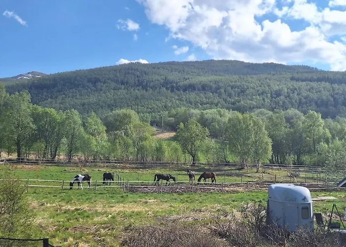 Bauernhof Farmloft With Aurora And Sauna Narvik