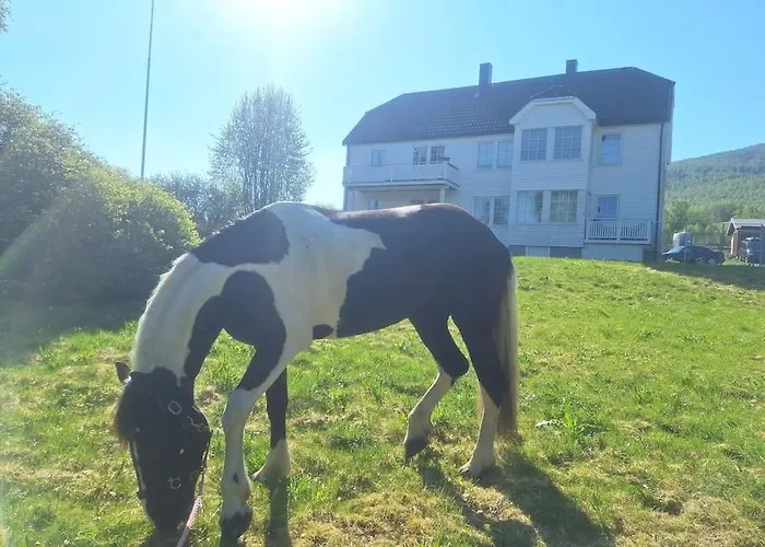 Farmloft With Aurora And Sauna Narvik